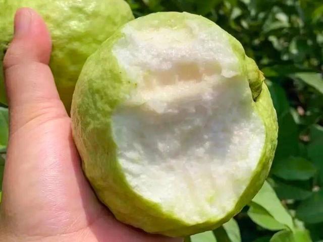 四川学生首个秋假来啦！和孩子一起解锁米易的N种玩法