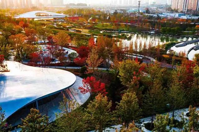 再度引爆！“家门口的遛娃宝藏地+“河景出片打卡点”！张村河生态公园一期全线试运行