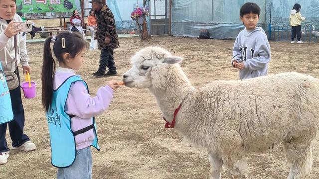 临沂花式闹元宵全攻略：灯会、赏花、优惠、演艺一键收藏！