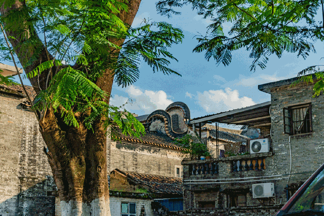 连休5日！桂城遛娃宝藏路线大公开