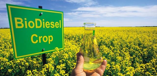 访华第三天，加拿大总理在北京突然提一个请求	，中方的回应很直接