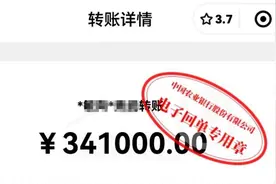 多打一个“0”，多转30万元后被对方拉黑，法院判决图片