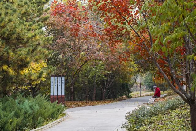 收藏一个秋天,石景山绝美秋色大公开