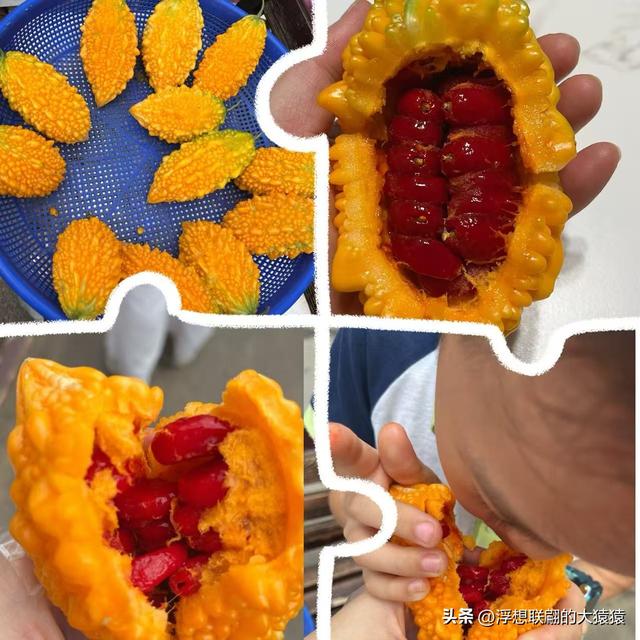 莱芜禹王山顶有座明初建立的古村：东平洲
