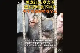 黑龙江66岁大爷遭家猪啃食下半身，外生殖器被啃咬全无图片
