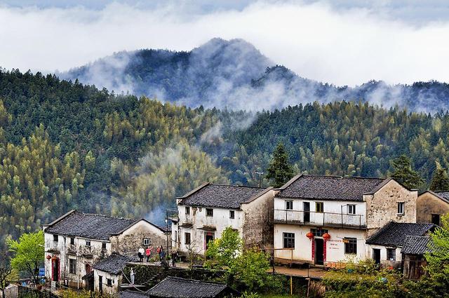 到山里去，8个森林环抱的好地方，过几天山居生活，回归纯粹