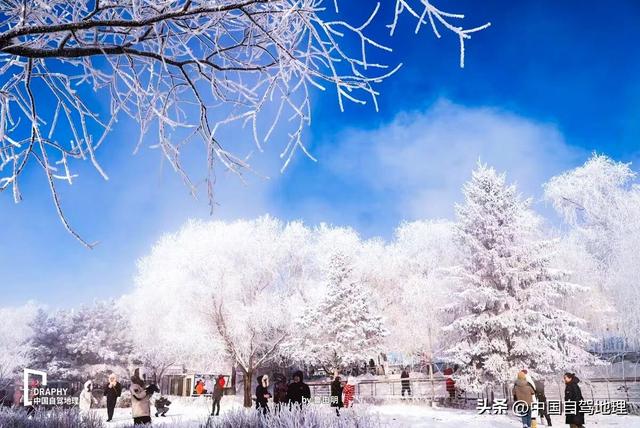 承包最治愈的冬日秘境！收下这份超详细赏玩攻略，12月出发正好