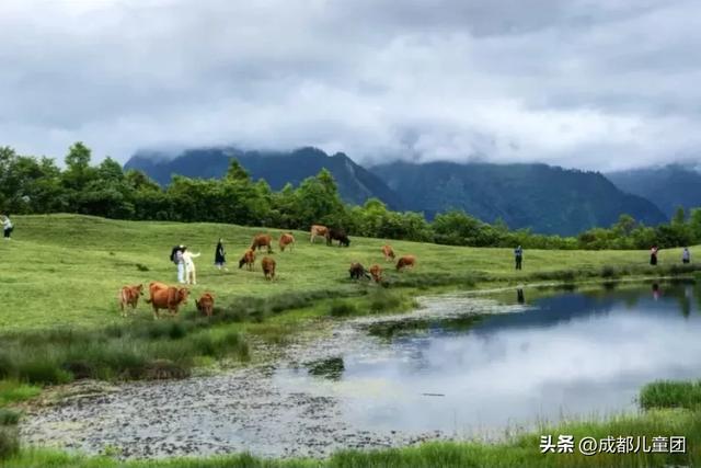 10条初秋徒步线路，去草甸、果园、森林里找秋天