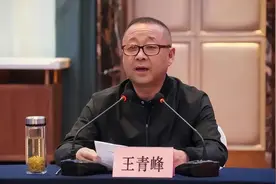 市长王青峰，任省发改委主任图片