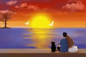 老丈人生日宴摆5桌，老婆让我结账表孝心，我没说话带着女儿走了图片