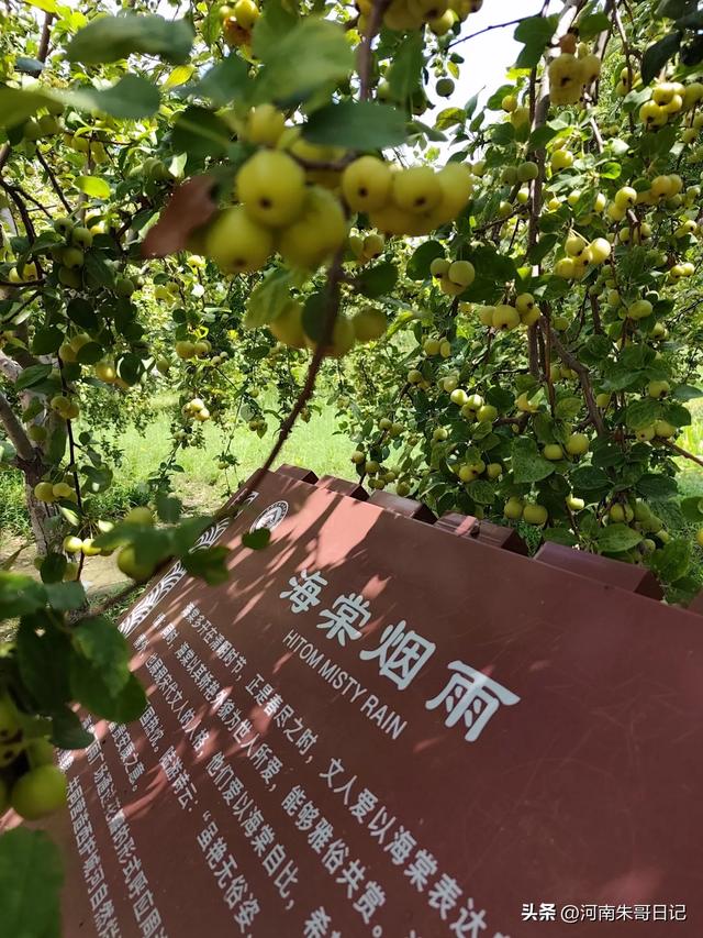 2025年这个8月，我要提前总结。