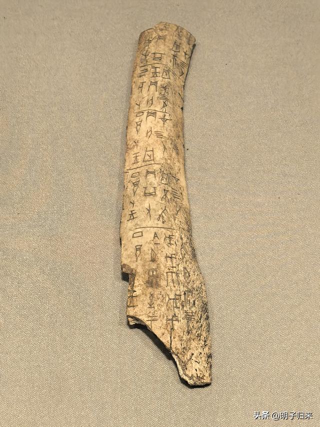 故乡往事：津门探宝