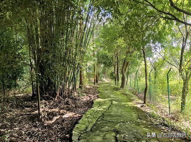 成都“川西老场”超级低调的寺庙，被严重低估，本地人的私密之地