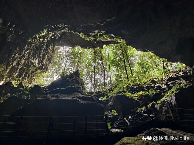马来西亚(29)砂拉越州③姆鲁山清水洞·风洞