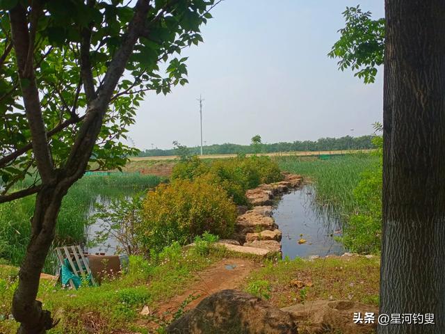 “三点一线”游汤山