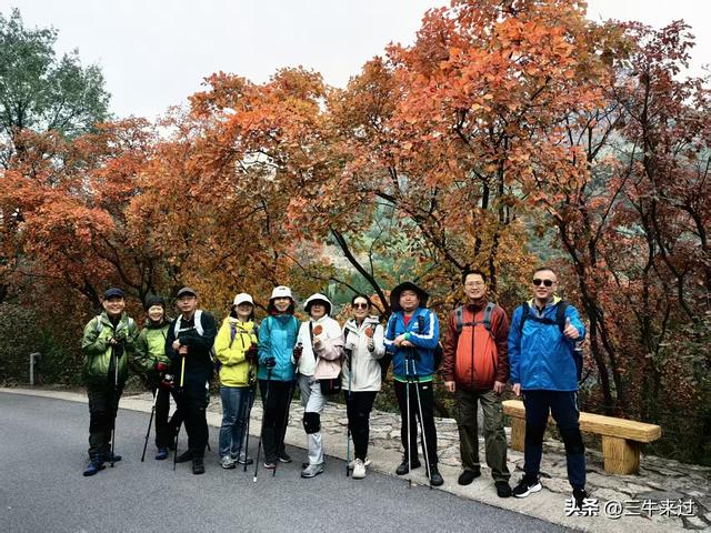 无为在歧路，济南红叶谷
