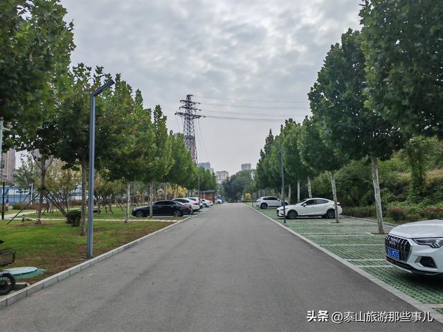 泰安：泰山下一个街角公园火了，有百米粉黛花海，错过要再等一年