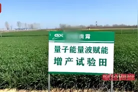 “量子赋能种子”暴露农业科普漏洞图片