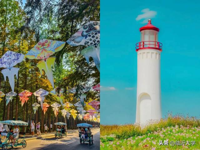 这个假期，LYUers怎么过?