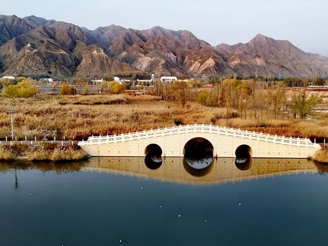 深秋太极岛：芦花漫舞，群鸟蹁跹