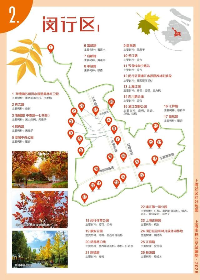 解锁2025上海郊区红叶地图，一起走进申城的五彩世界！