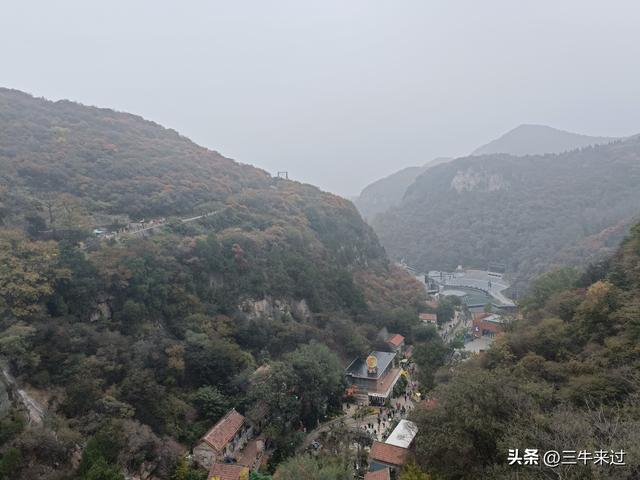 无为在歧路，柿岩之红叶