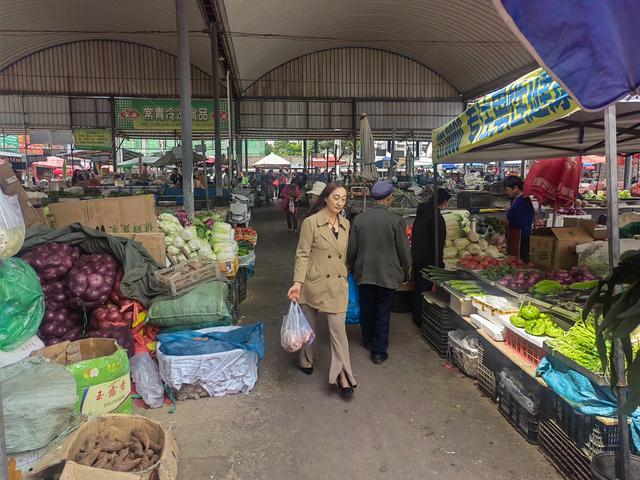 去赶大理凤仪街