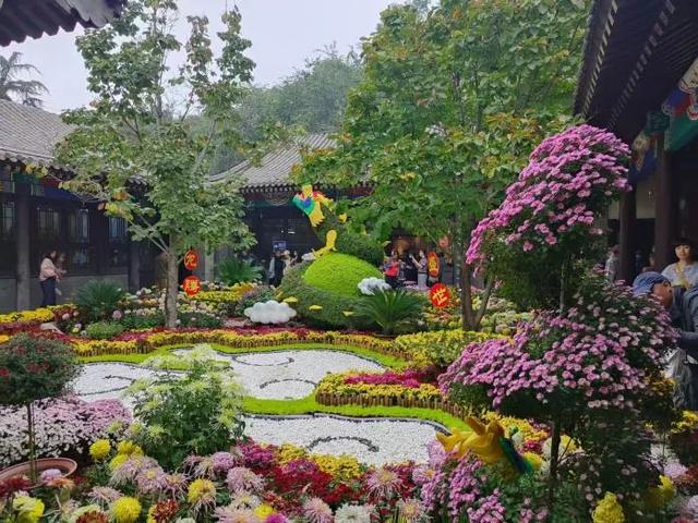 “花开北京·菊韵金秋” 2025北京菊花文化节在北海公园启幕 | 动态