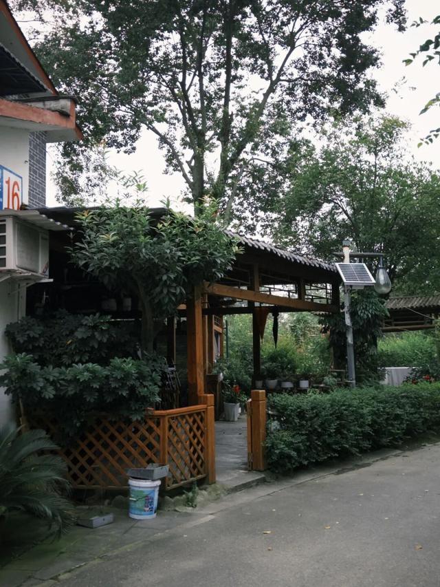 在成都西北郊区，这个渐渐淡出视野的最美乡村，还值得一去吗？