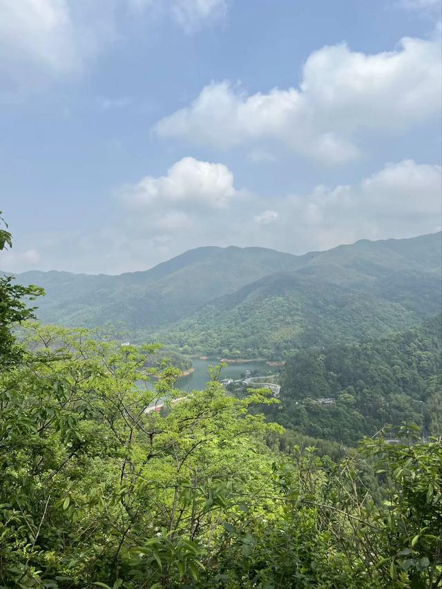 南昌梅岭封神!藏在市区的“小庐山”,40分钟直达的春日宝藏地