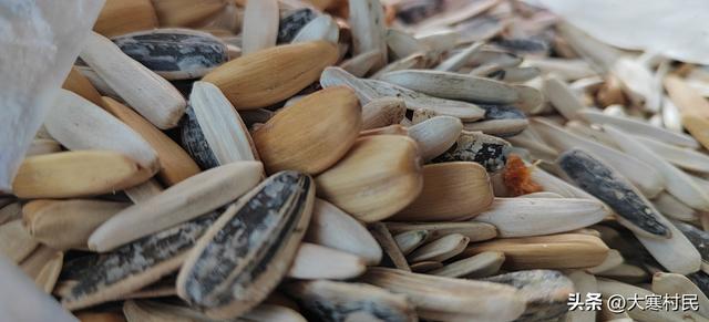 她姨的瓜子儿早饭