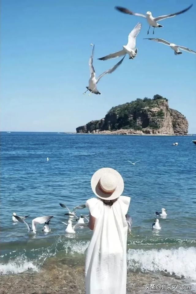 大连秋日鎏金时：荧光海低语，老电车叮咚，海鲜盆里盛着山海情