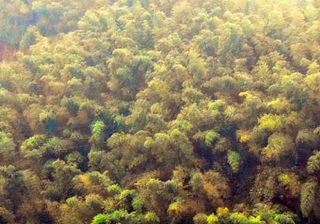 四川旅游：难忘宜宾长宁热气球赛采风行(图)