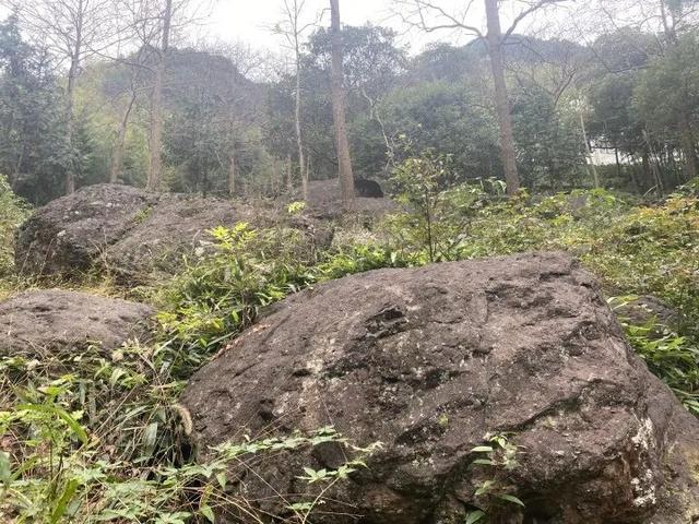 突然火了！有杭州人说，“我家四五代人都住在这里，根本就不知道......”