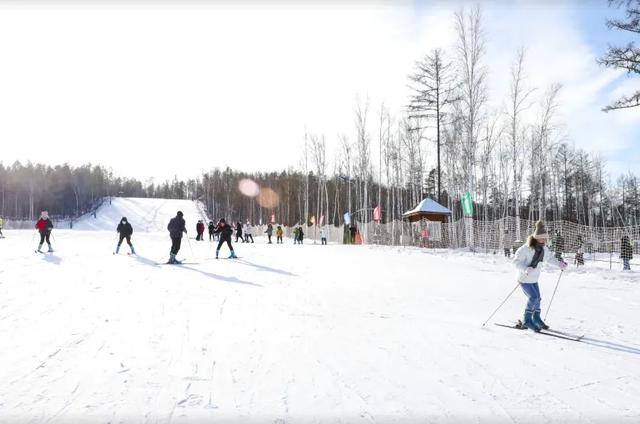 大雪已至 龙江皆雪趣