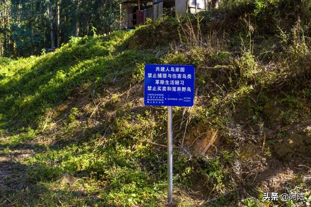 探秘云南巍山“鸟道雄关”,没想到它竟然是世界上最早的相关古迹