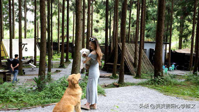 品咖啡、喝精酿、闻松香......在修文县山寻露营基地过一场20℃的慢生活