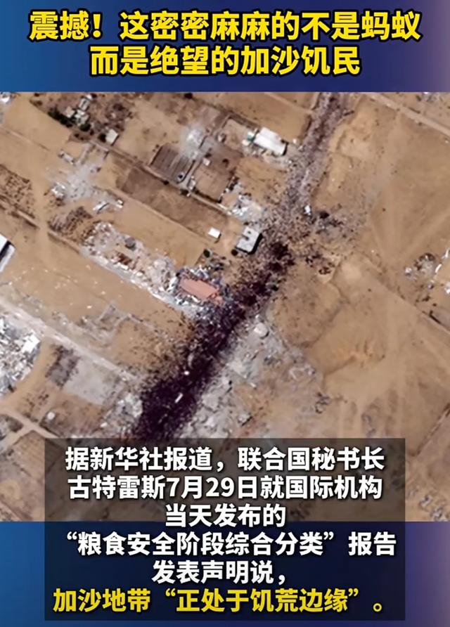 特朗普宣布对印度征收25%关税