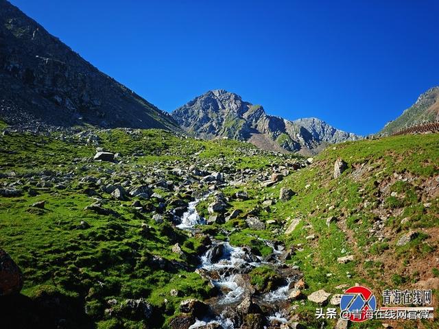 北龙山深处，浪士当的自然狂想与温柔絮语