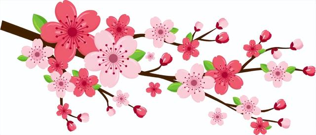 3月9日，新野郁金香花情播报！