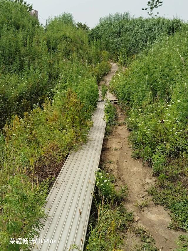 武汉青山正街前来打卡的市民络绎不绝