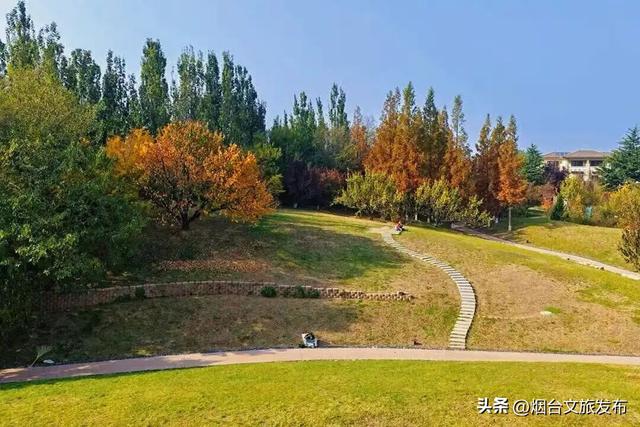 【乐游烟台】目测要火！烟台这座小城最近好看得离谱