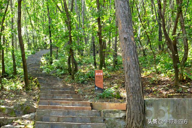 河北百草畔（上）：风动孤石悬险韵，蚁巡深岭蕴生机