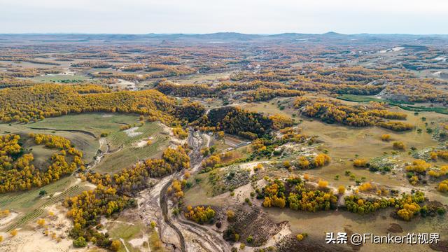坝上寻秋续：一场穿越乌兰布统彩林的漫记