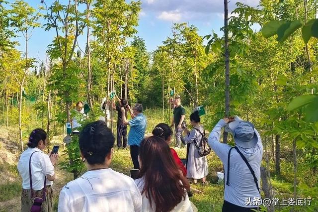 内蒙古世界语文化林圆满揭牌！
