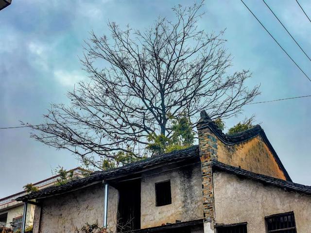 图说灌阳：山背后