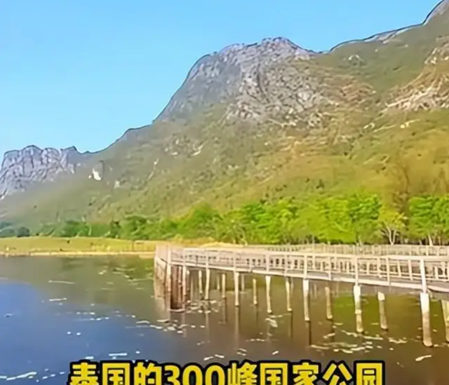 爸爸去哪儿10个孩子现状：有人进国家队，有人出家，有人出国锻炼