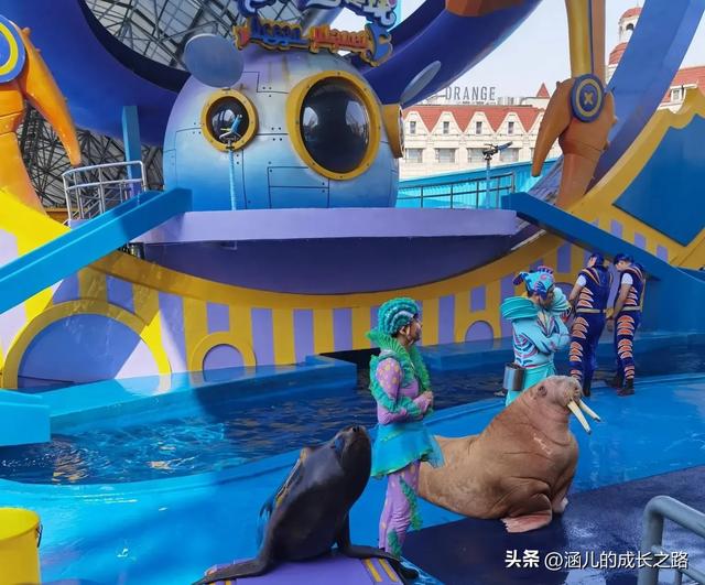 最新天津极地海洋馆一日游攻略——亲测实用!所有演出都可看完!