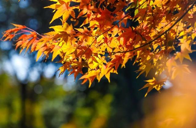 【多图预警！】这里不是5A景区，是鲁南制药！