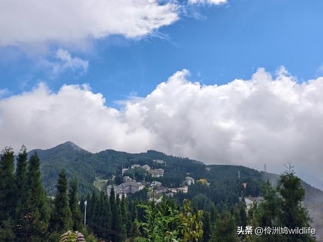 四川行(73)什邡红枫岭徒步到钟鼎寺